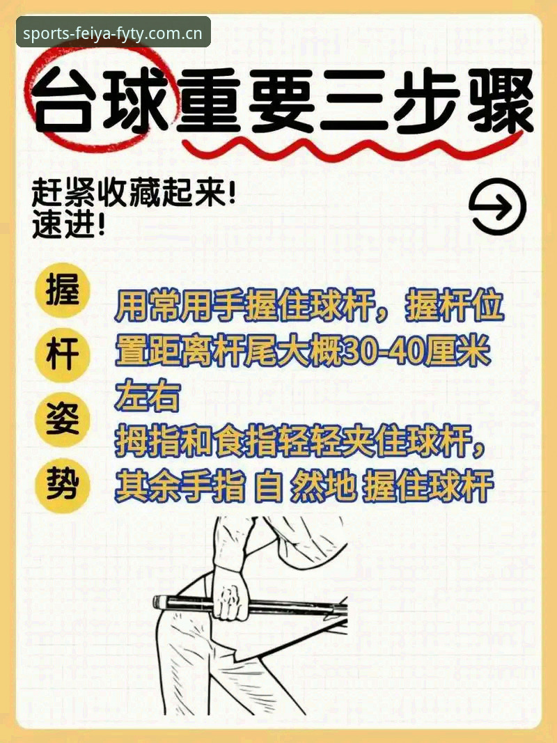 飞亚体育官网使用完整指南：资深用户教你如何快速上手